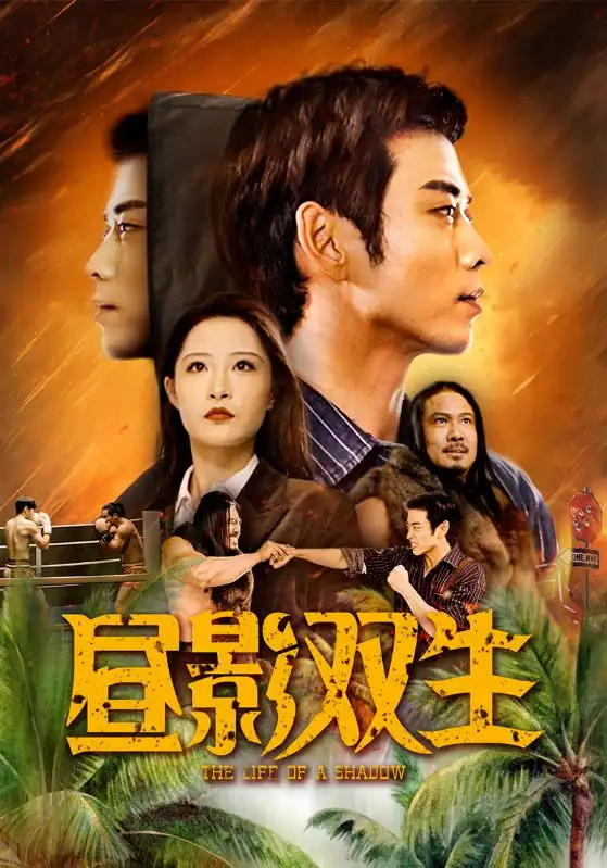 16700-昼影双生（60集）曹天恺&张震