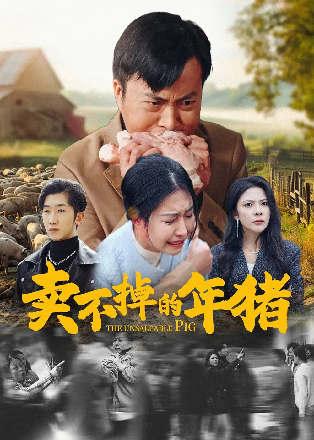 16703-卖不掉的年猪（35集）