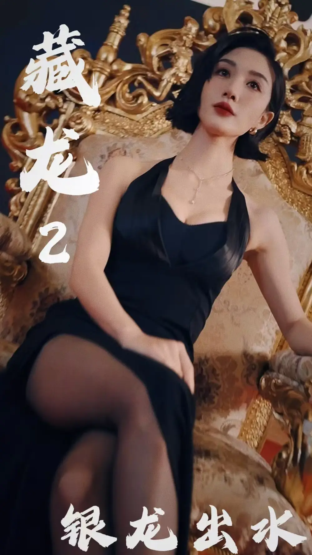 16804-藏龙2银龙出水（35集）