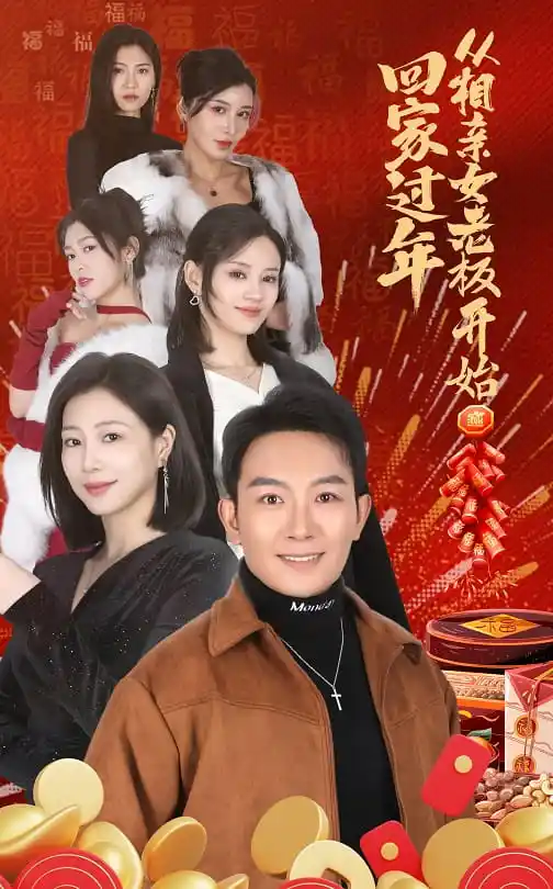 16819-回家过年从相亲女老板开始（64集）