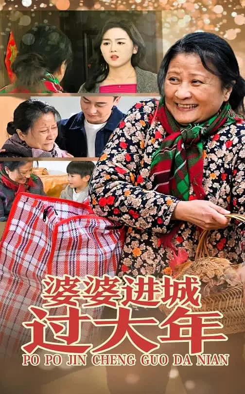 16897-婆婆进城过大年（33集）