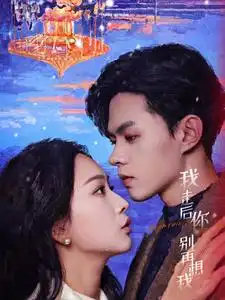 16965-我走后你别再想我（71集）