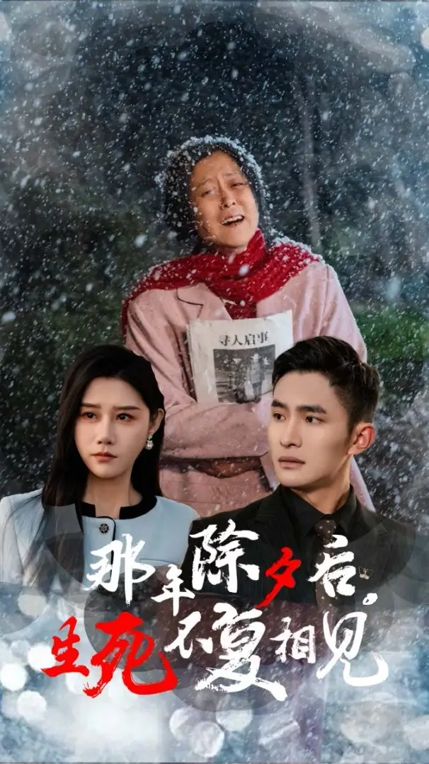 16986-那年除夕后生死不复相见（48集）魏昕怡