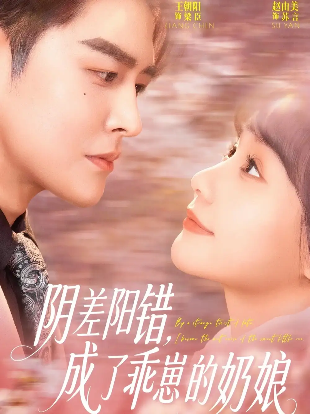 17-阴差阳错，成了乖崽的奶娘（69集）王朝阳＆赵由美