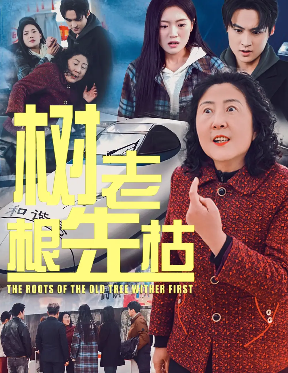 17005-树老根先枯（33集）
