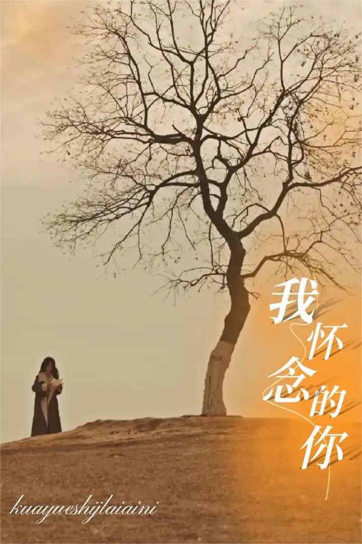 17145-我怀念的你&跨越时间来爱你（38集）