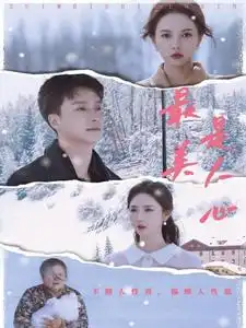 17196-最美是人心（35集）