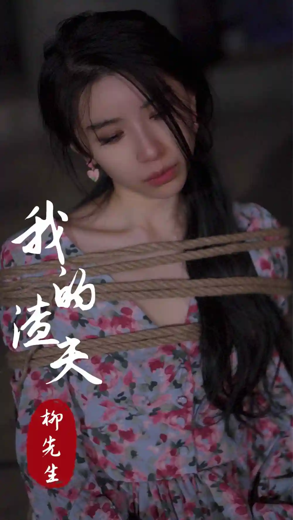 17359-我的渣夫柳先生（80集）