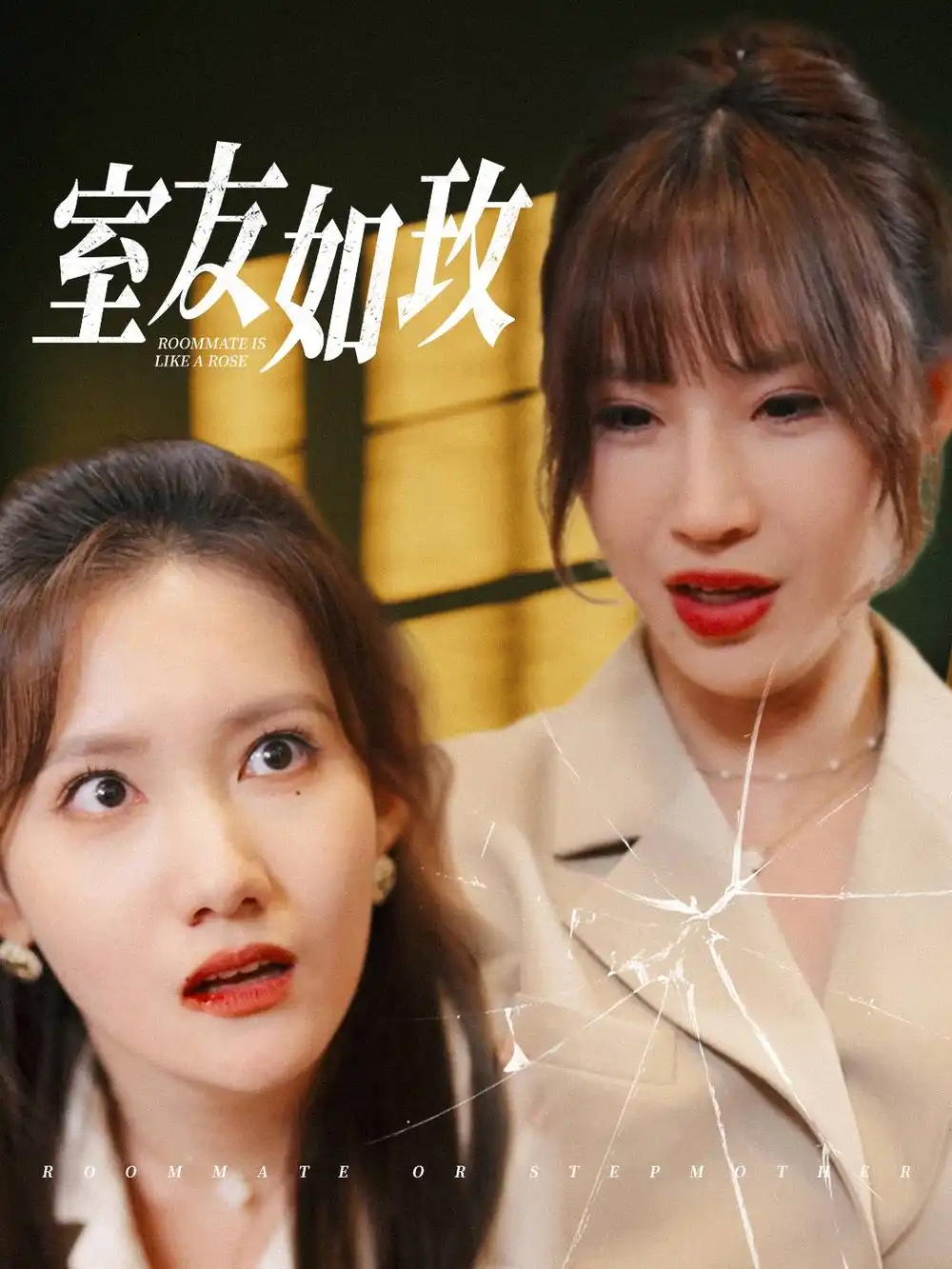 17381-室友如玫（36集）