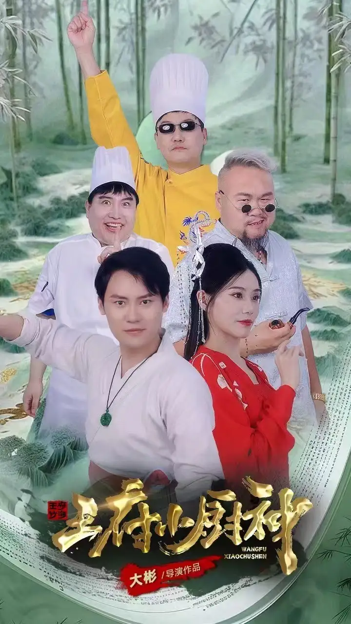 17636-王府小厨神（67集）范新彤