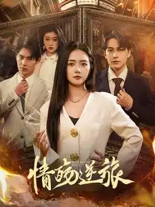 17894-情殇逆旅（90集）雷玉孟