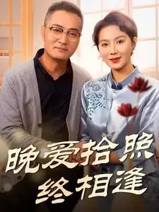 18085-晚爱拾照终相逢（61集）