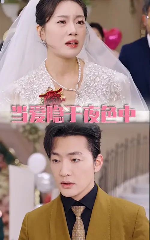 18267-当爱隐于夜色中（37集）张子唯