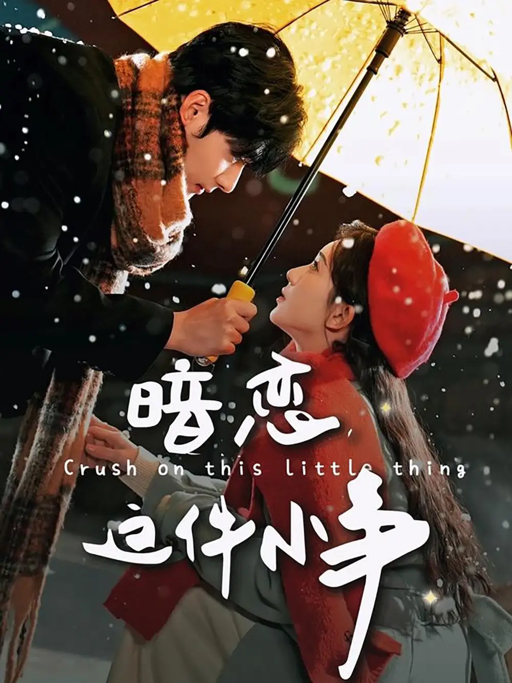 18971-暗恋这件小事（100集）孟佳辉＆诗越越