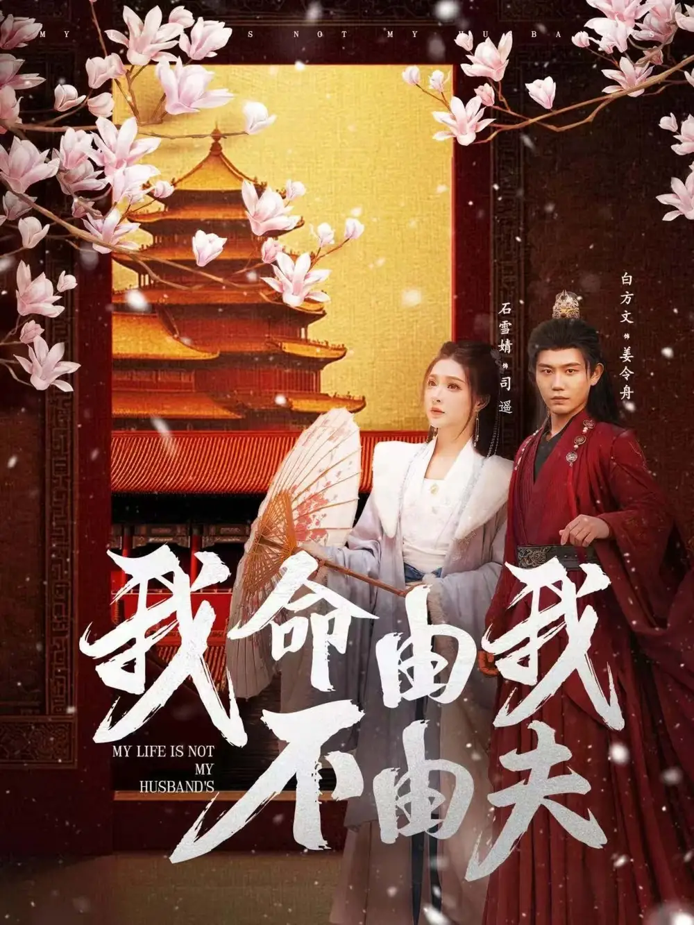 19468-我命由我不由夫（75集）白方文&石雪婧