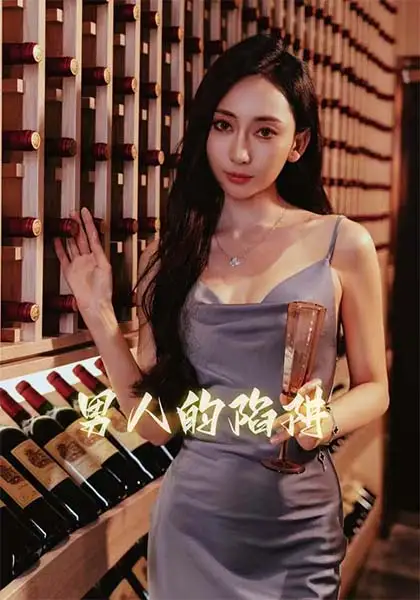 19636-男人的陷阱（33集）江婉秋