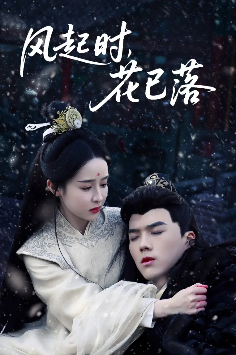 20664-风起时，花已落（49集）王蔼玲