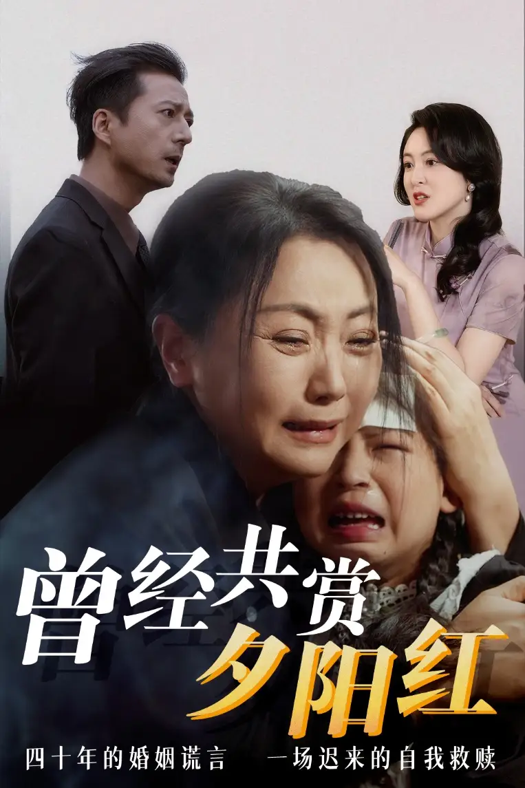 20832-曾经共赏夕阳红（60集）