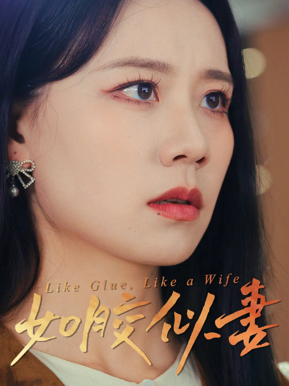 20837-如胶似妻（50集）王艳秋