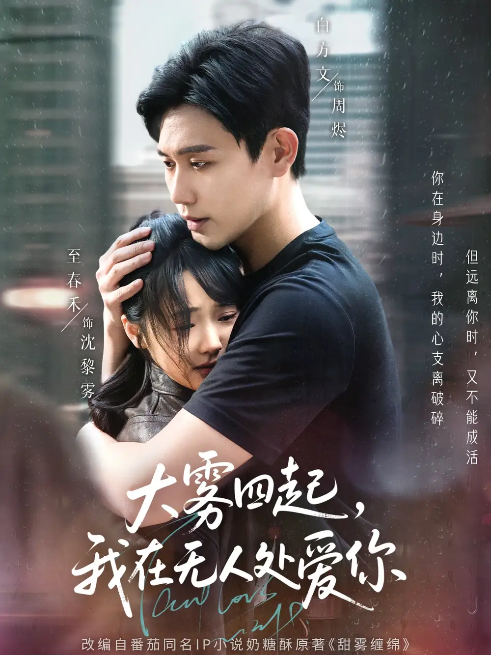 25254-大雾四起，我在无人处爱你&大雾四起我在无人处爱你（72集）白方文&至春禾