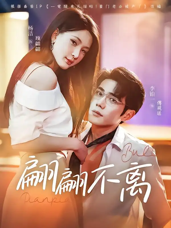 25977-翩翩不离（71集）杨洁&李铂一
