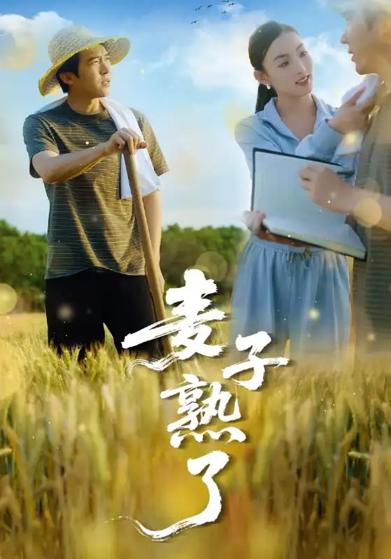26052-麦子熟了（52集）宋雯娟