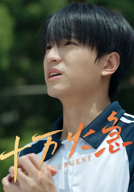 26741-十万火急（30集）