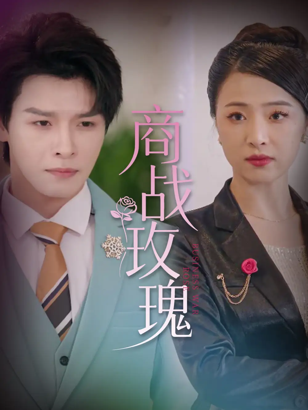 26996-商战玫瑰（30集）王思齐&李彬航