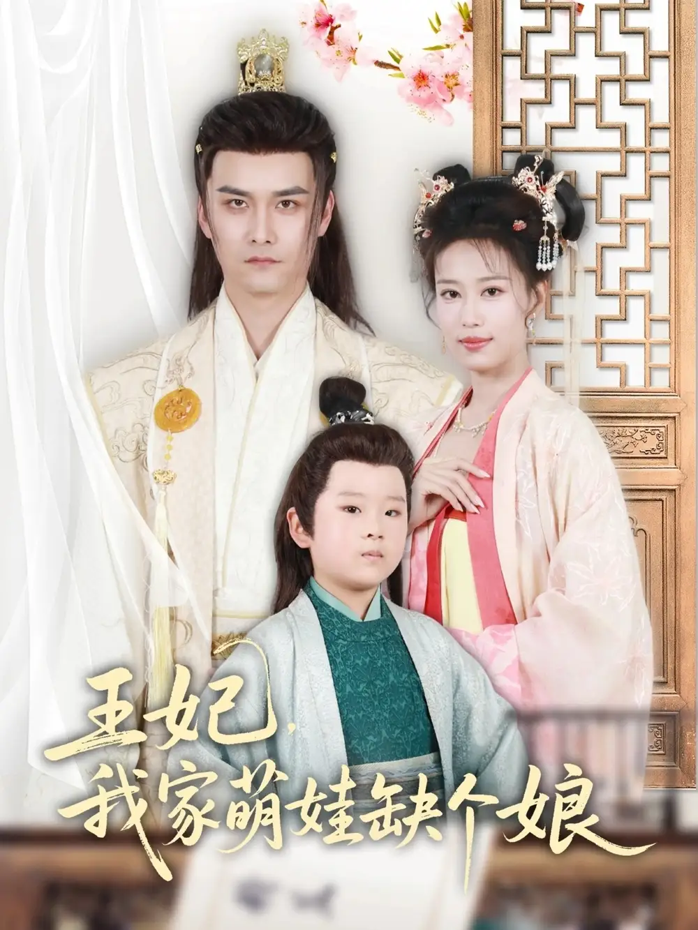 27566-王妃，我家萌娃缺个娘&王妃我家萌娃缺个娘（51集）郑源