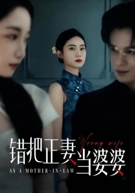 28067-错把正妻当婆婆（46集）张英杰&张耀尹