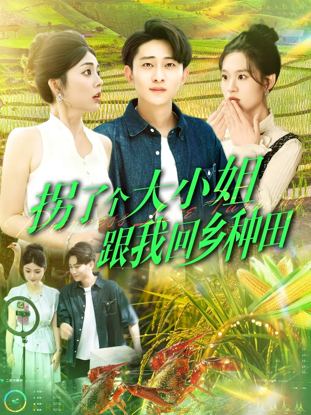 28445-拐了个大小姐跟我回乡种田（110集）周航健＆邵迪&张若曦&韩佳宜