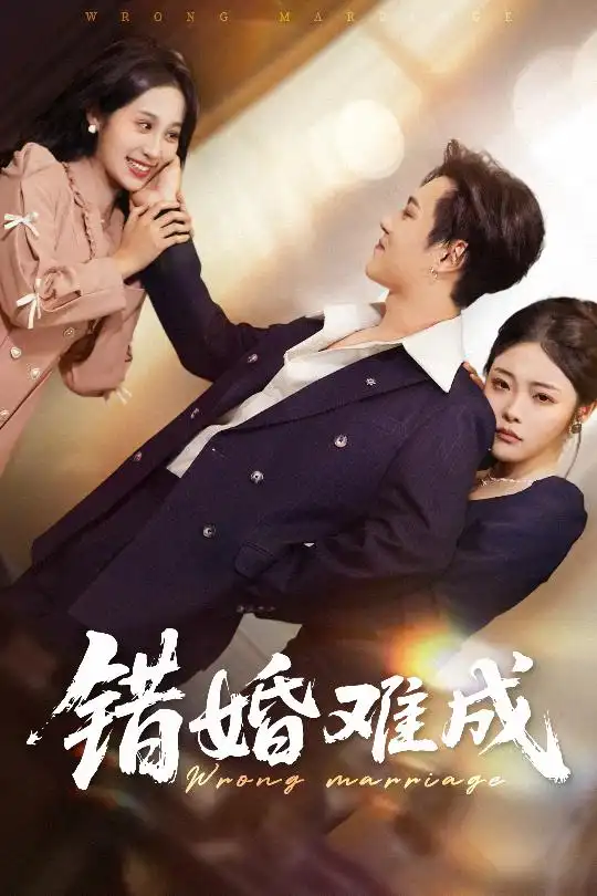 28573-错婚难成（45集）彭程&武鸿蕊
