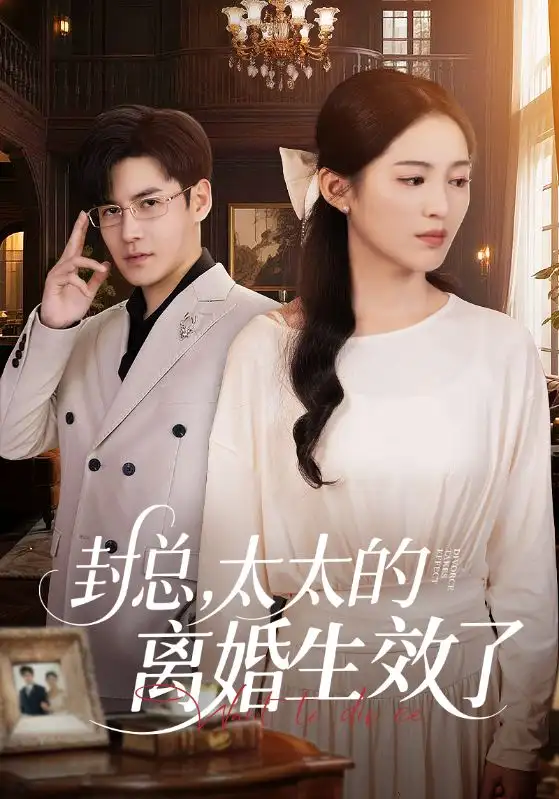 28643-封总，太太的离婚生效了&封总太太的离婚生效了（82集）崔秀子&李子锋