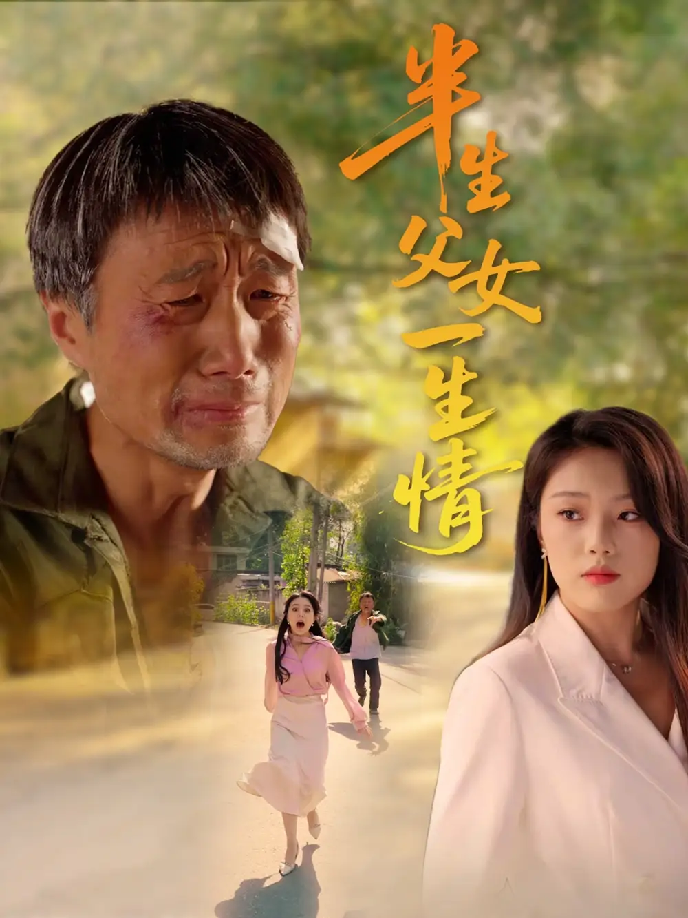 30038-半生父女一生情（45集）戚玉洁