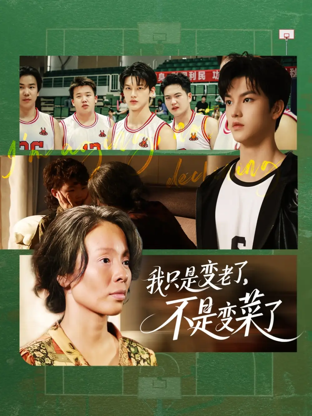 30074-我只是变老了，不是变菜了&我只是变老了不是变菜了（60集）
