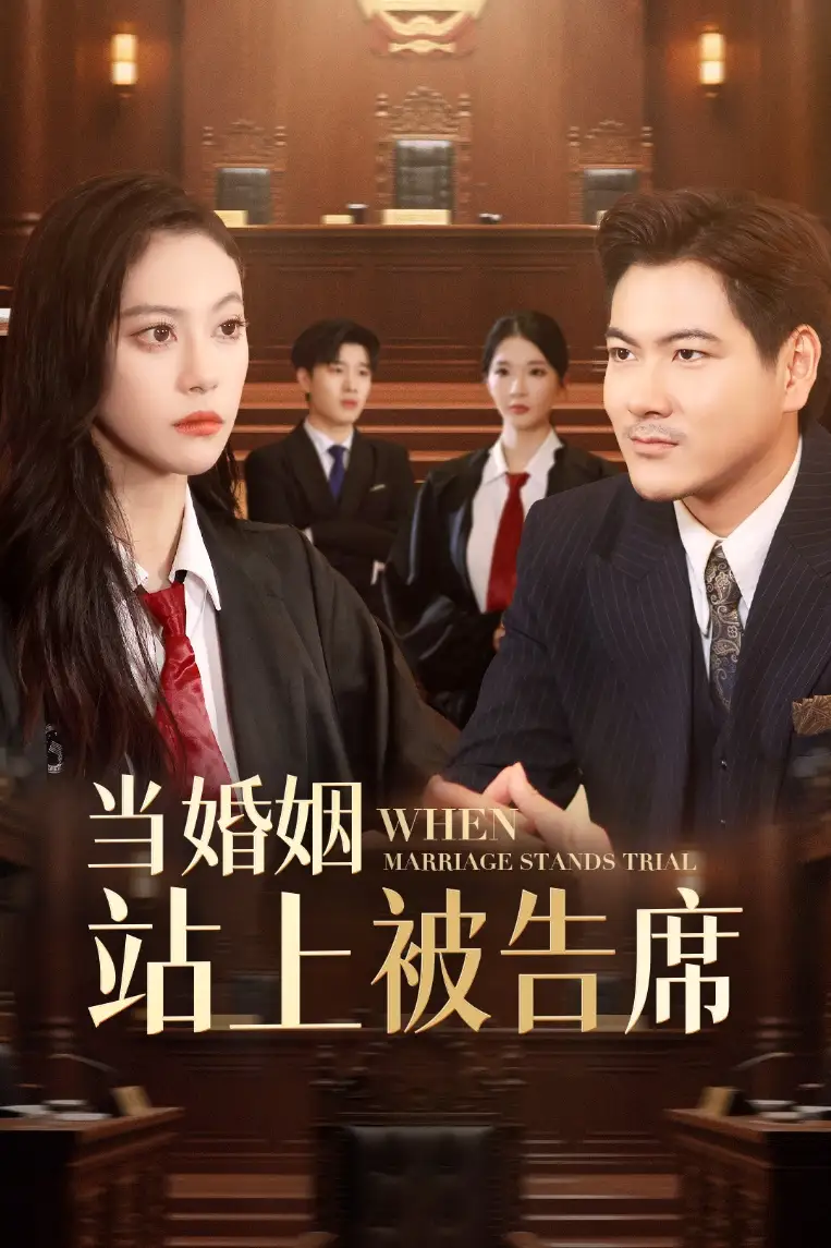 30915-当婚姻站上被告席（30集）刘林&刘涵飞