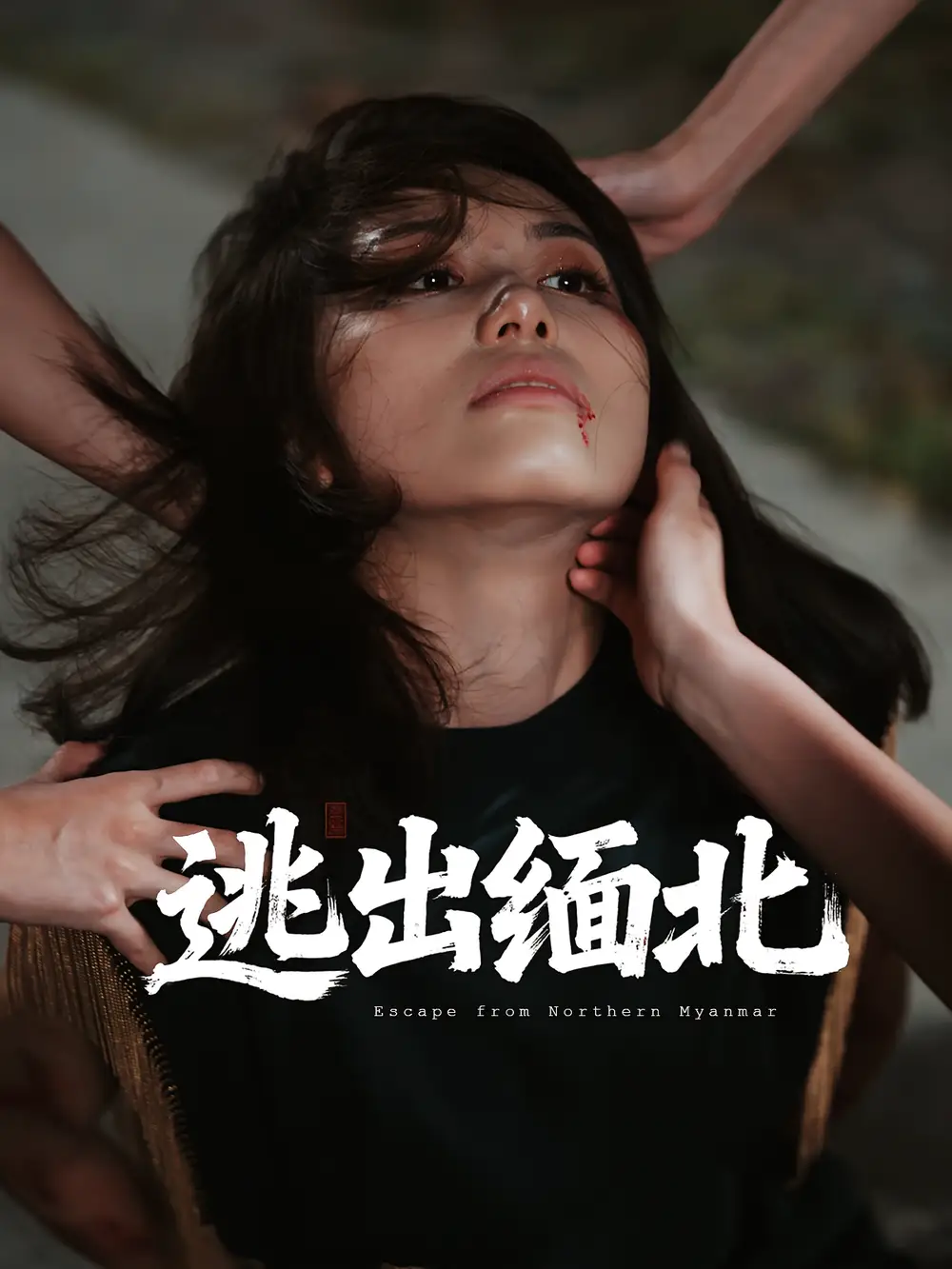 33567-逃出缅北（62集）刘振安&汪芷萱