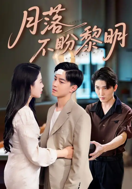 35065-月落不盼黎明（64集）丁海霞&贺龙天