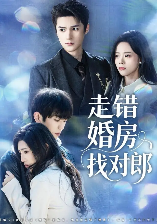 41716-走错婚房找对郎（50集）刘辰锐＆刘艺然