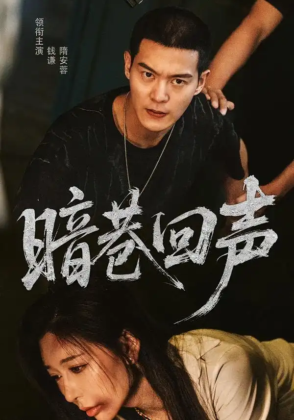 45475-暗巷回声（100集）隋安蓉&钱谦