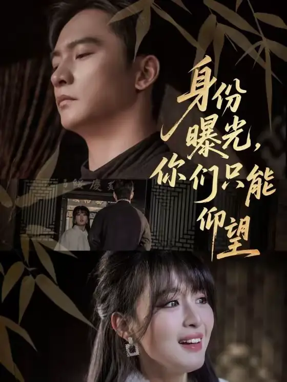 45644-身份曝光，你们只能仰望（78集）朱新辉＆李婷