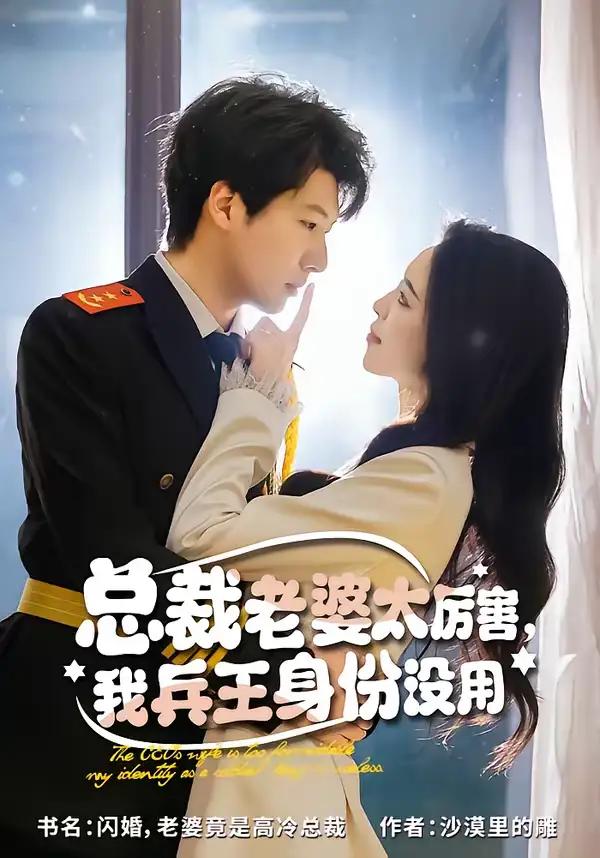 46211-总裁老婆太厉害，我兵王身份没用（80集）刘照娅＆戚正