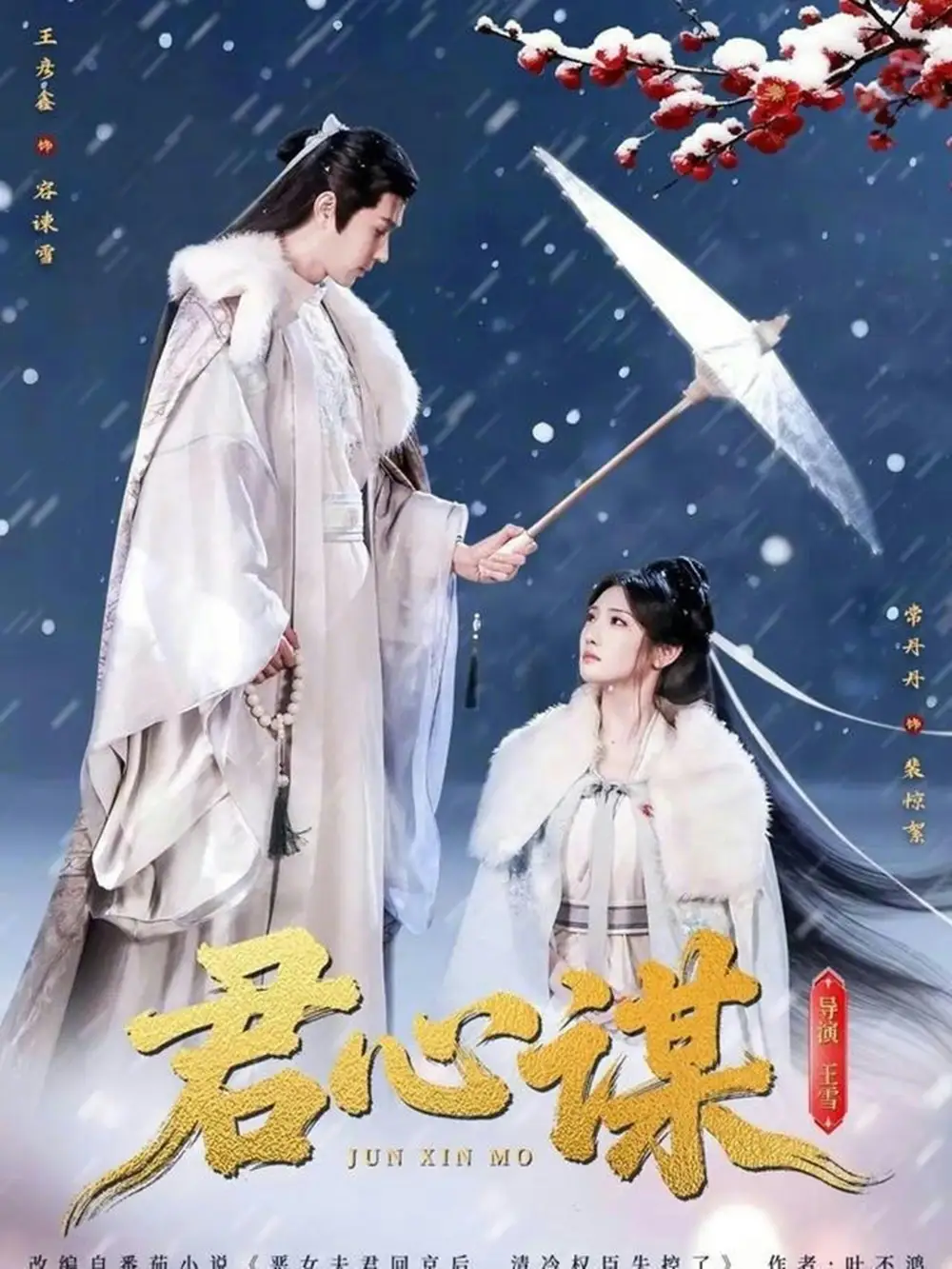 46922-君心谋（80集）王彦鑫＆常丹丹
