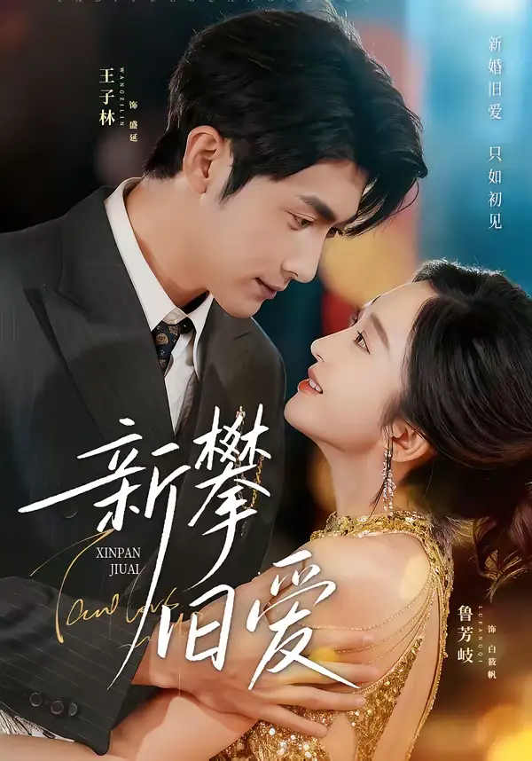 48140-新攀旧爱（67集）王子林＆鲁芳岐