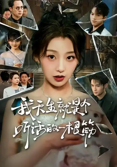 48587-我天生就是个听话的一根筋（75集）王倩&孟令今