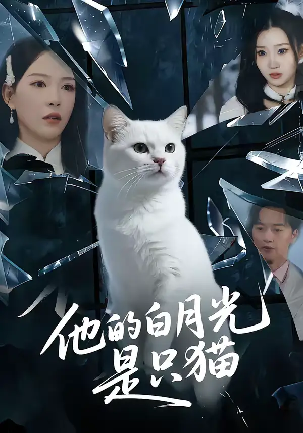 48889-他的白月光是只猫（69集）陈家豪＆葛晓希