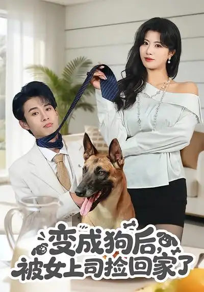48944-变成狗后，被女上司捡回家了（57集）夏已傲&黄宁馨