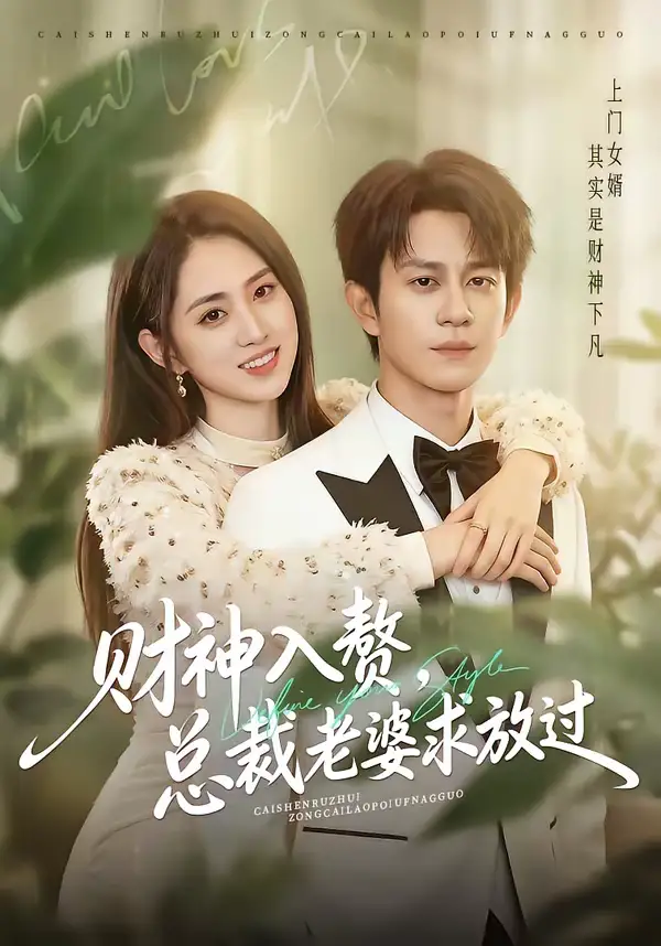 49102-财神入赘，总裁老婆求放过（60集）董劭辉＆李晓雨
