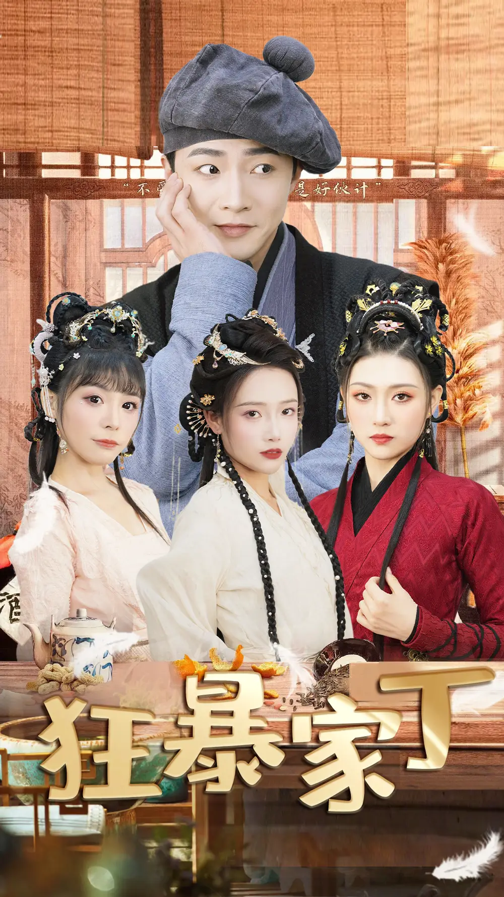 5849-狂暴家丁$飞驰人生之超品家丁（90集）