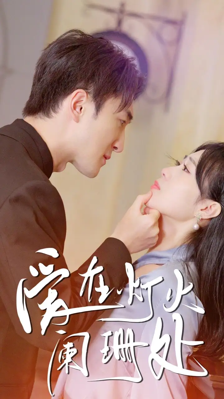 5928-新：爱在灯火阑珊处（35集）